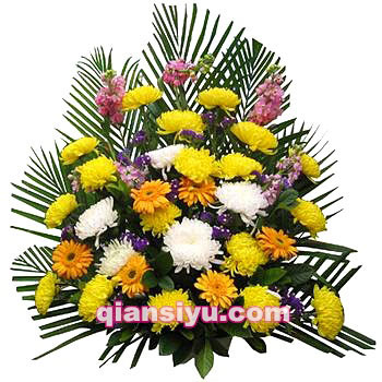 ỨȦ